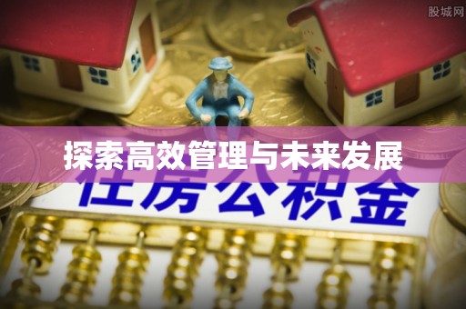 黑水探索高效管理与未来发展
