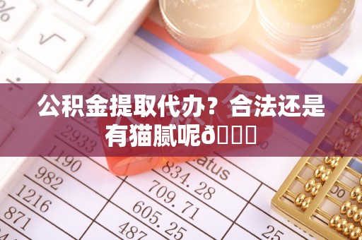 黑水公积金提取代办？合法还是有猫腻呢😏